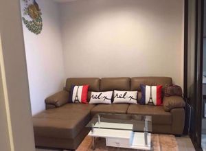 Picture of 1 bed Condo in Life Sukhumvit 62 Bangchak Sub District C012567