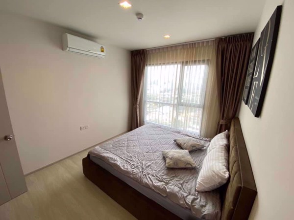 Picture of 2 bed Condo in Life Sukhumvit 48 Phra Khanong Sub District C012645