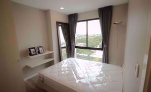 Picture of 2 bed Condo in Kensington Kaset Campus Latyao Sub District C012743