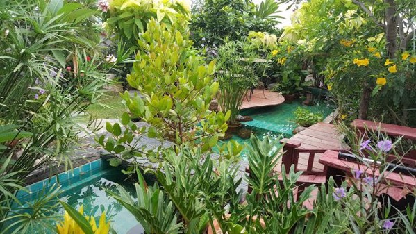 Picture of 3 bed Condo in DS Tower 1 Sukhumvit 33 Khlong Tan Nuea Sub District C013261