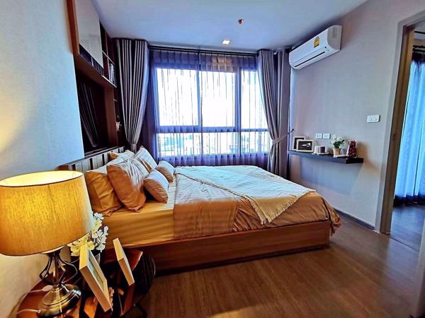 Picture of 1 bed Condo in Ideo Sukhumvit 93 Bangchak Sub District C013268