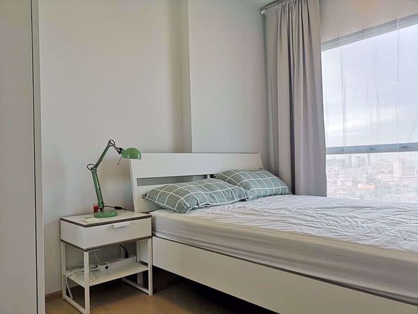 Picture of 1 bed Condo in The Tree Sukhumvit 71-Ekamai Suanluang Sub District C013300