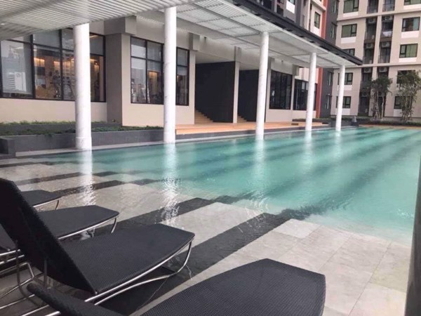 Picture of 2 bed Condo in Life Asoke Bangkapi Sub District C013848