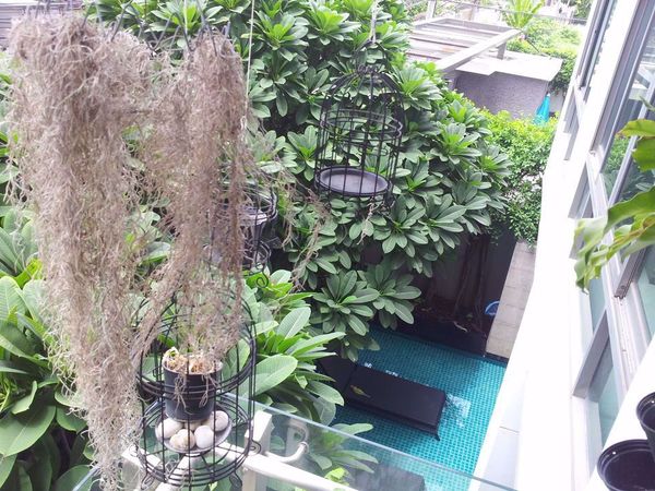 รูปภาพ 2 ห้องนอน Condo ในโครงการ Issara@42 Sukhumvit Phra Khanong Sub District C013852