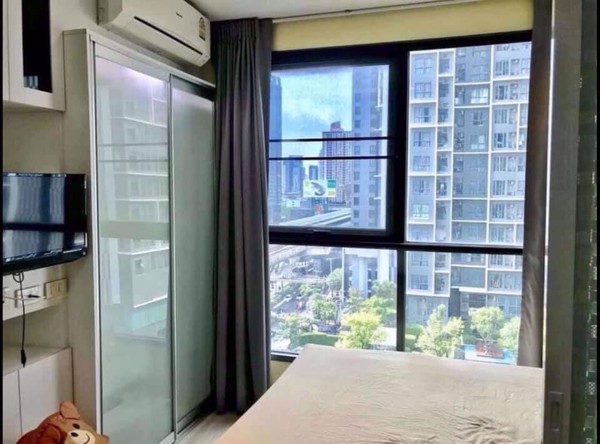 Picture of 1 bed Condo in Ideo Mobi Sukhumvit Bangchak Sub District C013966