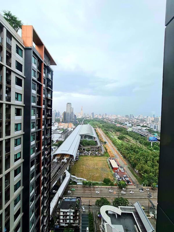 Picture of 1 bed Condo in Life Asoke Bangkapi Sub District C014221