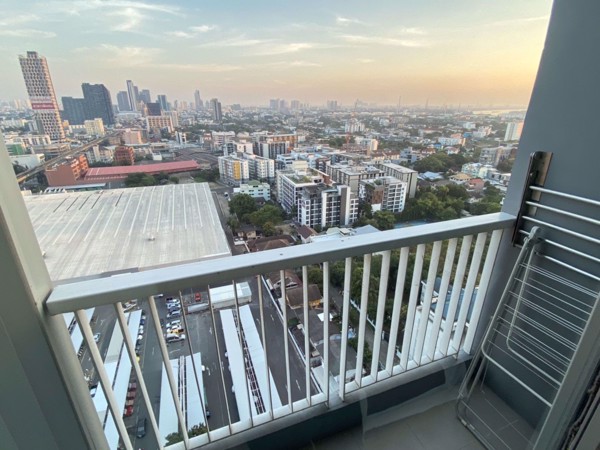 Picture of 1 bed Condo in Rhythm Sukhumvit Phra Khanong Sub District C012295