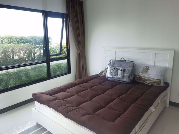 Picture of 2 bed Condo in Knightsbridge Bearing Samrong Nuea Sub District C014372