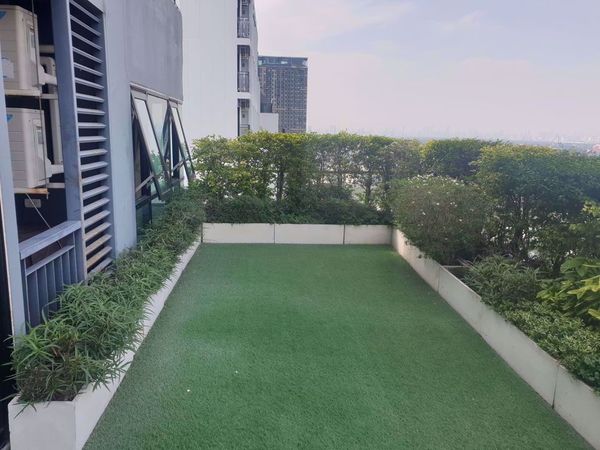 Picture of 2 bed Condo in Knightsbridge Bearing Samrong Nuea Sub District C014372