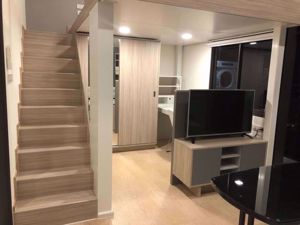 Picture of 1 bed Duplex in Chewathai Residence Asoke Makkasan Sub District D014729