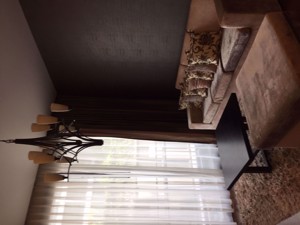 Picture of 2 bed Condo in Quattro by Sansiri Khlong Tan Nuea Sub District C015087