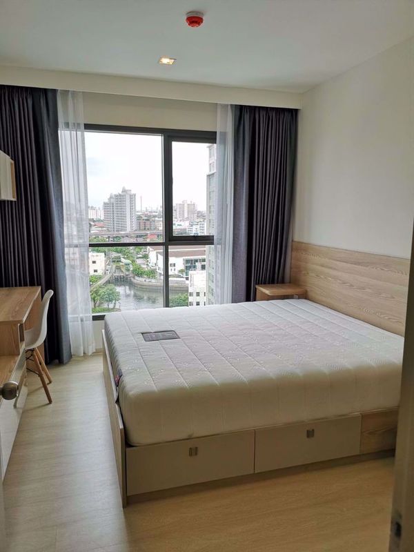 Picture of 2 bed Condo in Life Sukhumvit 48 Phra Khanong Sub District C015691