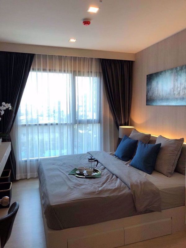 Picture of 1 bed Condo in Life Sukhumvit 48 Phra Khanong Sub District C015828