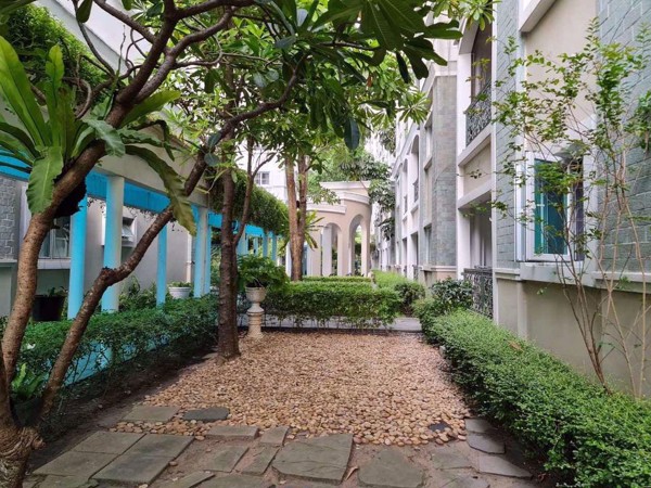 Picture of 3 bed Condo in Brighton Place Huai Khwang District C015982