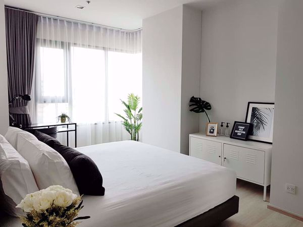 Picture of 1 bed Condo in Life One Wireless Lumphini Sub District C016133