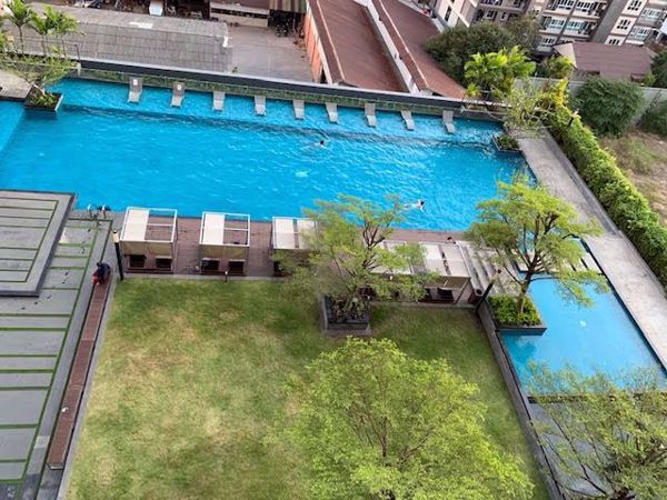 Picture of 2 bed Condo in Siri at Sukhumvit Phra Khanong Sub District C016339