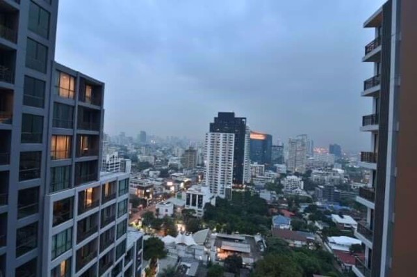 Picture of 2 bed Condo in Quattro by Sansiri Khlong Tan Nuea Sub District C016687