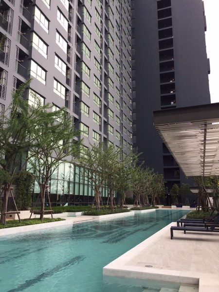 Picture of 1 bed Condo in Ideo Sukhumvit 93 Bangchak Sub District C017678