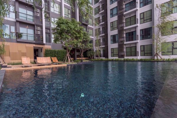 Picture of 1 bed Condo in Rhythm Sukhumvit 36-38 Phra Khanong Sub District C017852