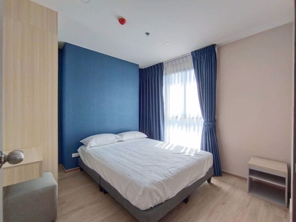 Picture of 2 bed Condo in IDEO O2 Bang Na Sub District C017854