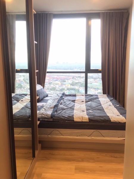 Picture of 2 bed Condo in OKA HAUS Sukhumvit 36 Khlongtan Sub District C018167