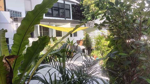 Picture of 2 bed House  Pathumwan Sub District H018385