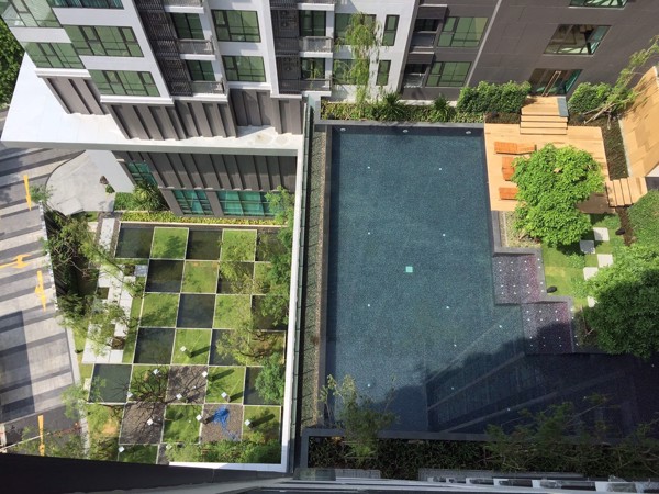 Picture of 2 bed Condo in Rhythm Sukhumvit 36-38 Phra Khanong Sub District C018756