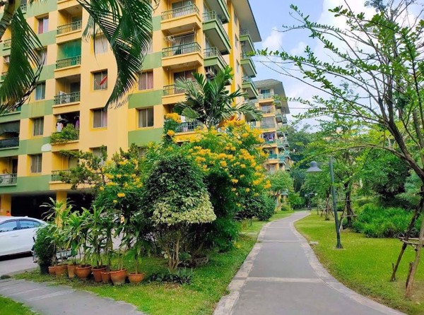 Picture of 3 bed Condo in The Parkland Bangna Condominium Bang Na Sub District C018861