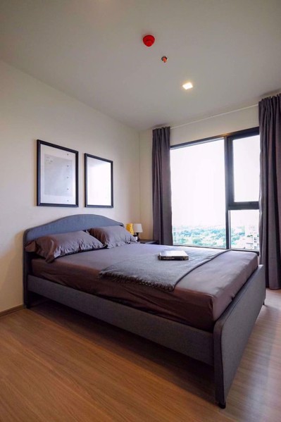 รูปภาพ 1 ห้องนอน Condo ในโครงการ Life Asok Hype Ratchathewi District C018870