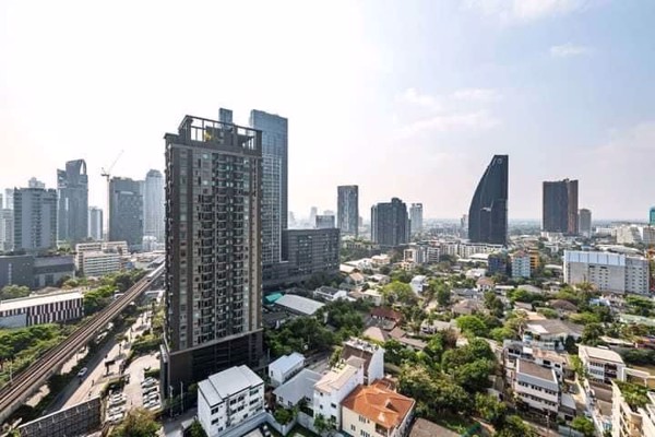 Picture of 1 bed Condo in BEATNIQ Sukhumvit 32 Khlongtan Sub District C019087