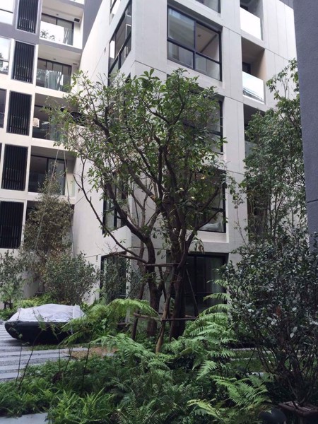 Picture of 1 bed Condo in LIV@49 Khlong Tan Nuea Sub District C019182