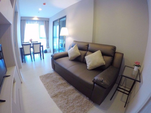 Picture of 1 bed Condo in Rhythm Sukhumvit 36-38 Phra Khanong Sub District C019194