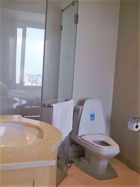 Picture of 1 bed Condo in The Empire Place Yan Nawa Sub District C019210