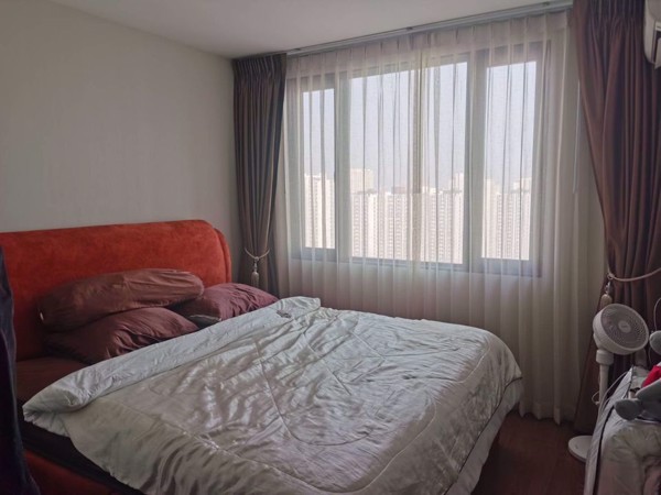 Picture of 2 bed Condo in Artisan Ratchada Huai Khwang District C019387