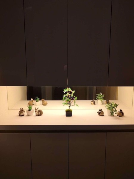 Picture of 1 bed Condo in Noble Ploenchit Lumphini Sub District C019433