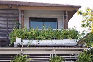 Picture of 3 bed House in Pruksa Ville 73 - Pattanakarn  Suanluang District H019871