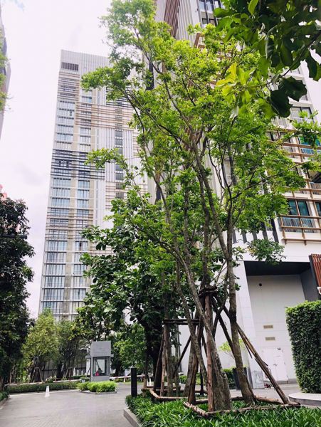 Picture of 2 bed Condo in Park Origin Phromphong Khlongtan Sub District C020275