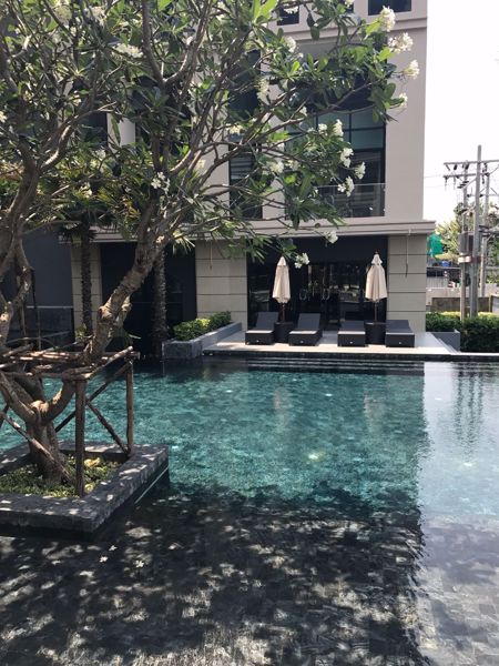 Picture of 1 bed Condo in The Unique Sukhumvit 62/1 Phrakhanong District C020342