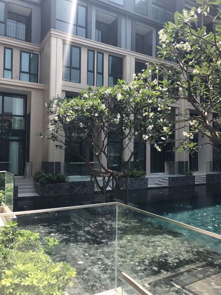 Picture of 1 bed Condo in The Unique Sukhumvit 62/1 Phrakhanong District C020342