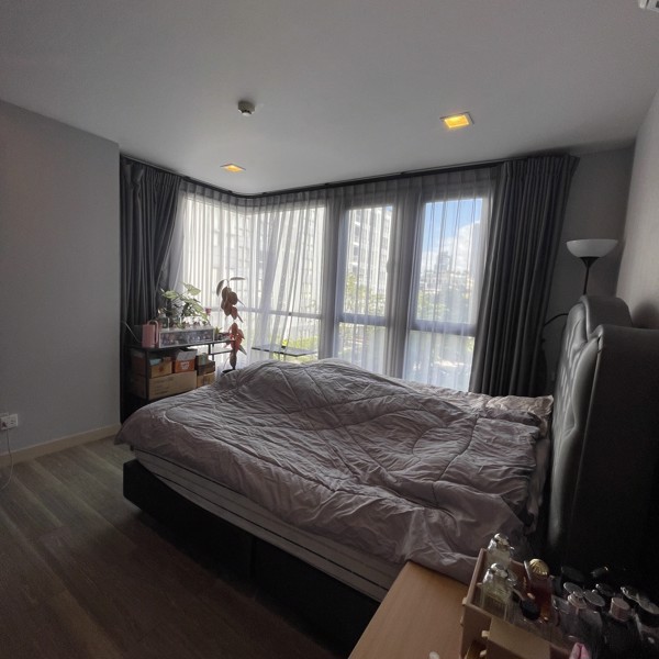 Picture of 2 bed Condo in Moniiq Sukhumvit 64 Phrakhanong District C020632