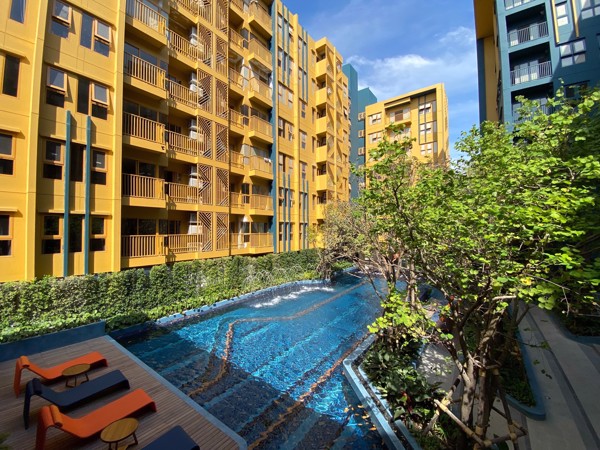 Picture of 2 bed Condo in THE BASE Sukhumvit 50 Phra Khanong Sub District C021032