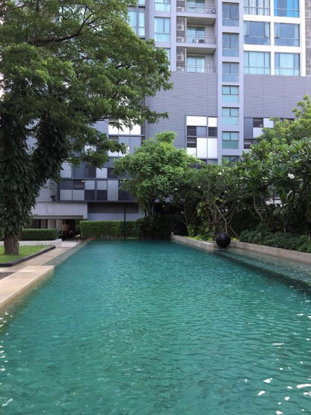 Picture of 3 bed Condo in Quattro by Sansiri Khlong Tan Nuea Sub District C021054